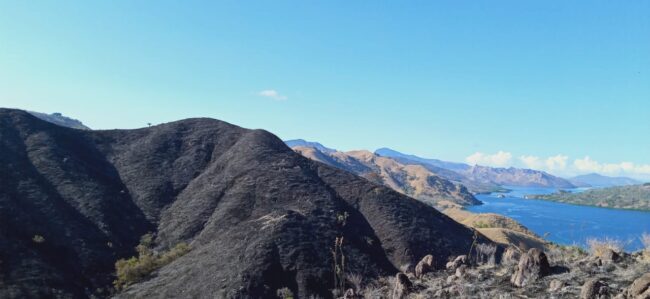 Mabar Cagar Alam Terbakar