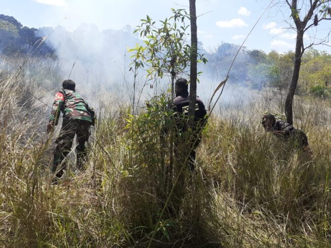 sumtim padang terbakar
