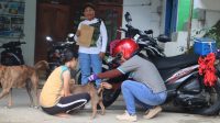 mabar vaksin anjing2