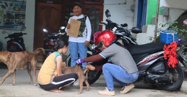 mabar vaksin anjing2