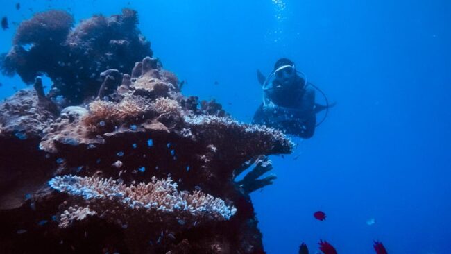 Mabar sosialisasi penyelam