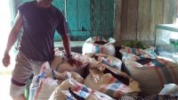 Matim Cengkeh harga jatuh