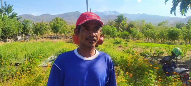 sikka kontraktor jadi petani sayur