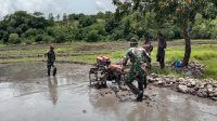 TTU Tentara bajak sawah