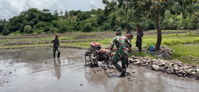 TTU Tentara bajak sawah