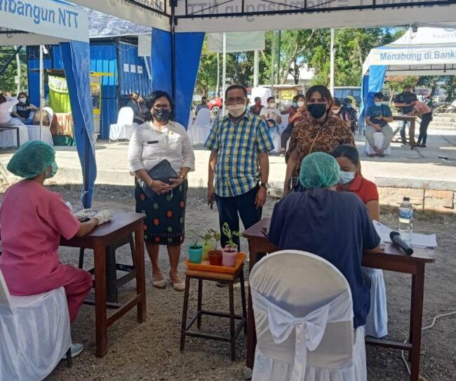 kota kupang vaksin umkm