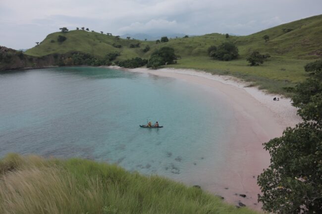Pantai Pink1