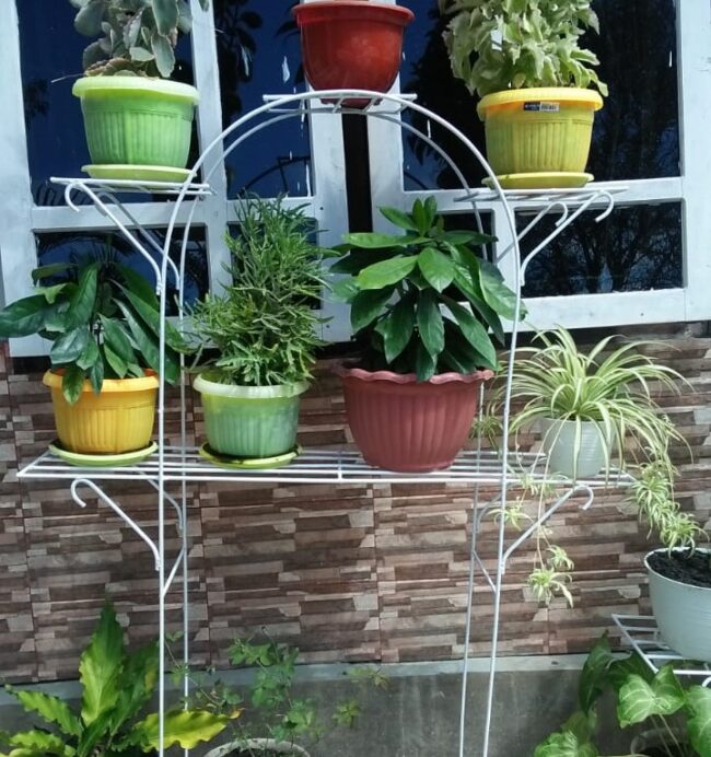 rak bunga
