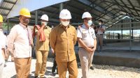ntt gub di tenau
