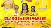 kota kupang golkar kppg