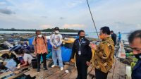 malaka ikan kerapu