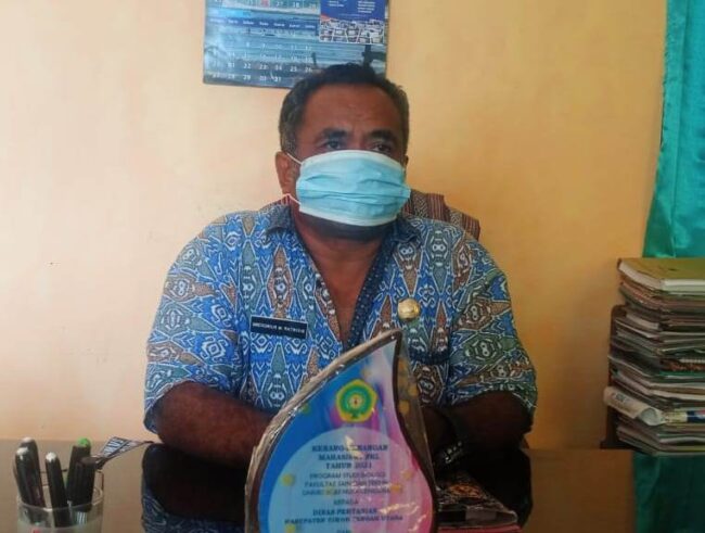 Kadis Pertanian TTU Gregorius Ratrigis