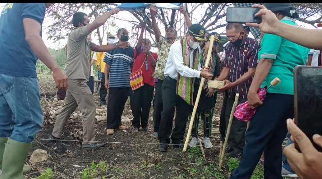 TTU wabup tanam jagung