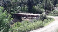 matim jembatan wae muli