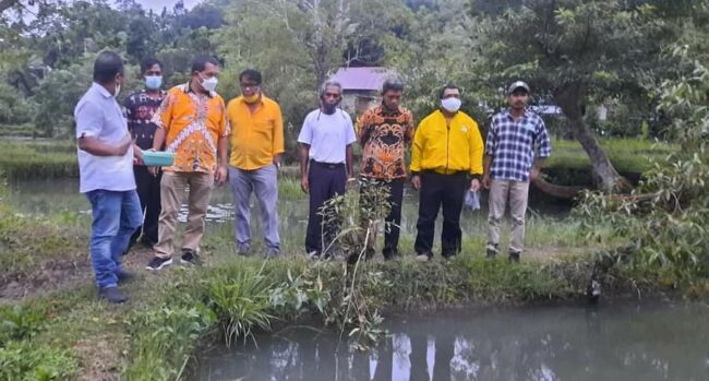 sumteng kolam ikan