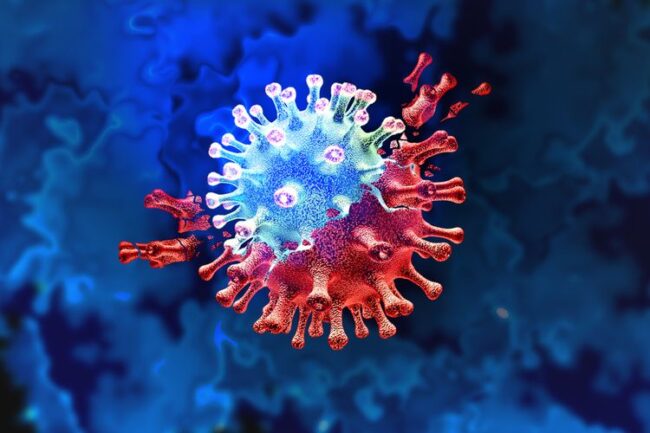 virus covid