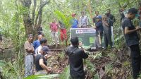 matimwartawan tanam pohon
