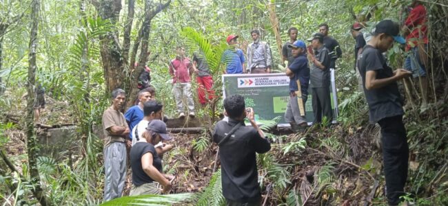 matimwartawan tanam pohon