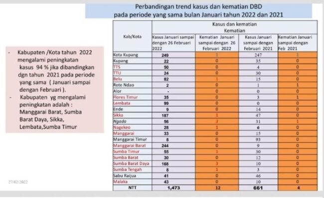 ntt demam berdarah2