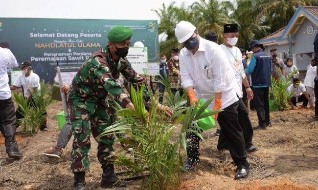 ah Tanam anakan kelapa sawit