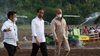 jokowi food estate