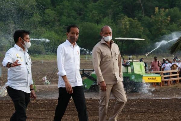 jokowi food estate
