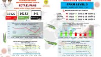 kota kupang_data covid kota kupang data covid