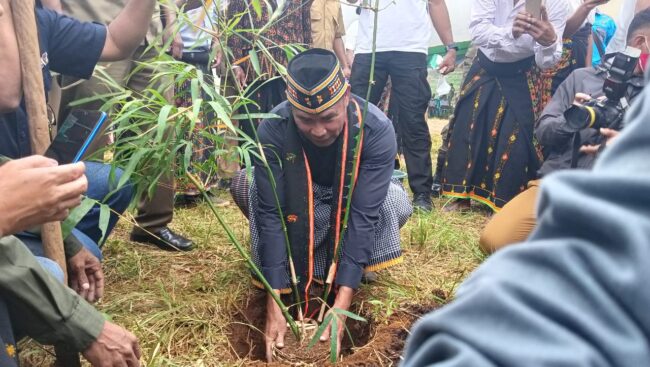 manggarai gub tnan bambu