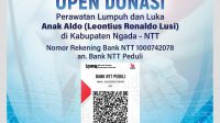 bank ntt peduli ronado