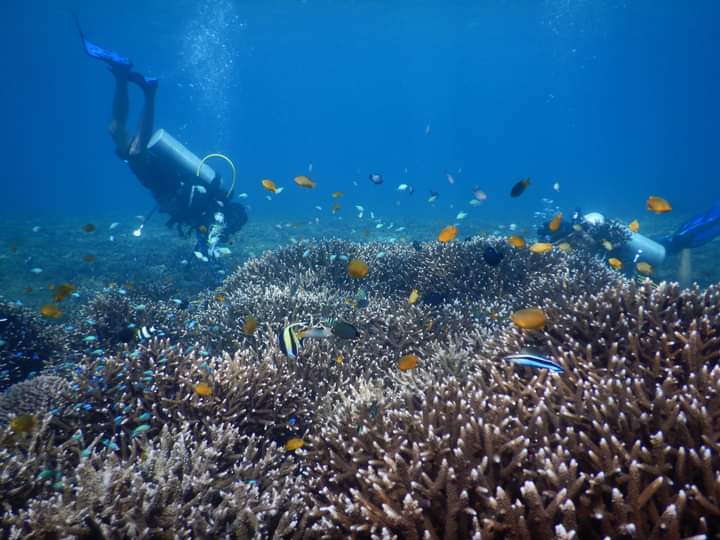 WhatsApp Image 2022 05 31 at 17.32.59