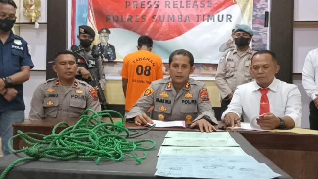 sumtim pencuri ternak