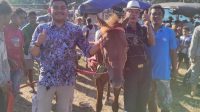 sumteng_kuda swasti sari sumteng kuda swasti sari