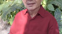 Rafael Leta Levis3