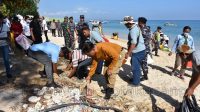 kota kupang bersihkan sampai di pantai