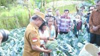 tts bupati panen1