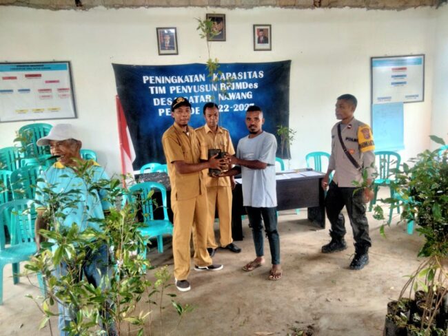 MATIM anakan cengkeh