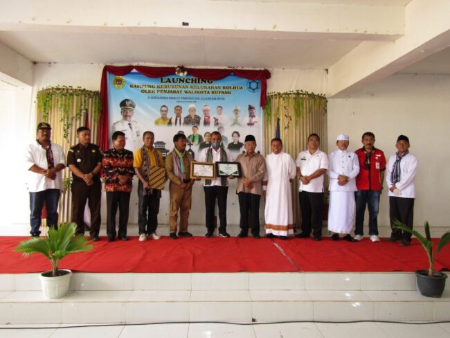 kupang kolhua