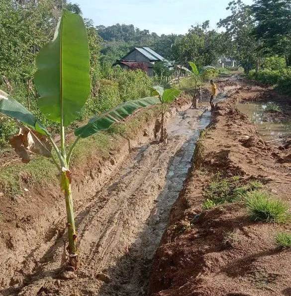 manggarai tanam pisang