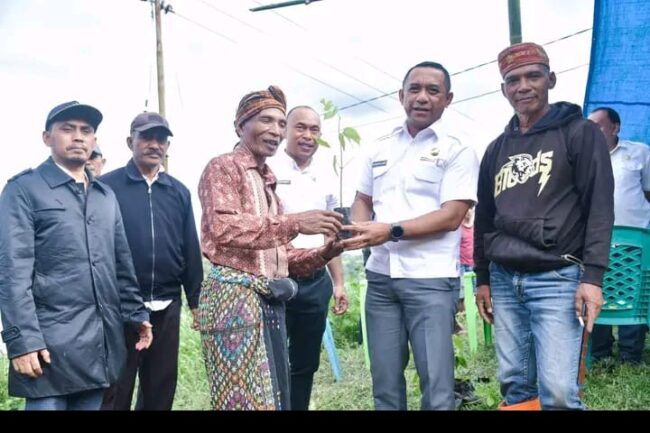 manggarai serahkan anakan