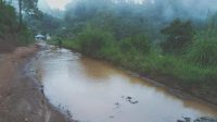 matim jalan rusak