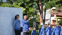 kupang apel
