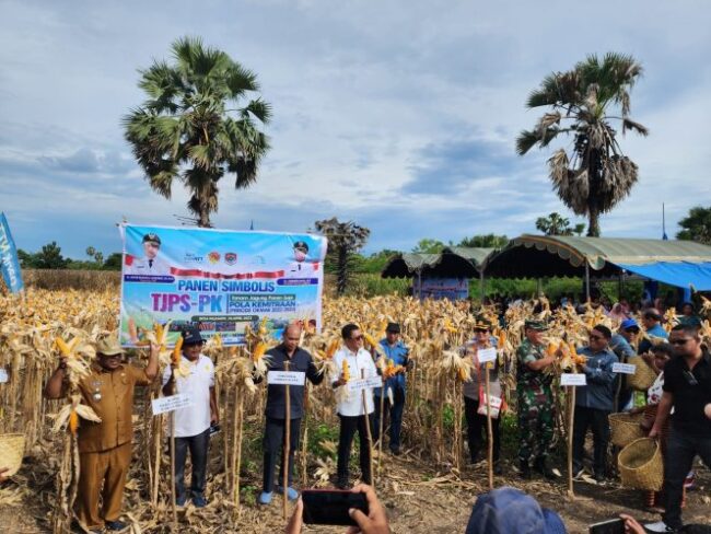 lembata bank ntt