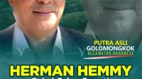 herman hemmy