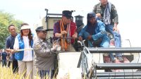 IMG 20241201 WA0016